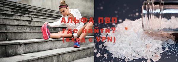 прущие грибы Волоколамск