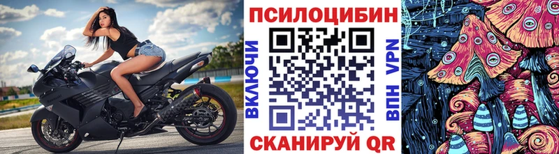 Купить где  Мантурово  Псилоцибиновые грибы Psilocybe 